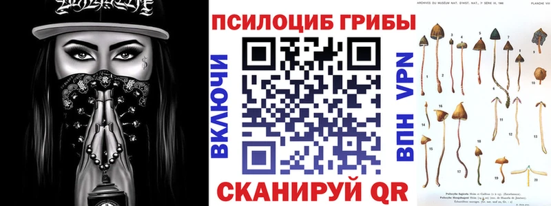 Псилоцибиновые грибы Psilocybe  Челябинск 