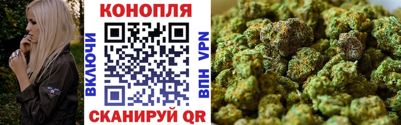 купить наркотик  Челябинск  Канабис сатива 